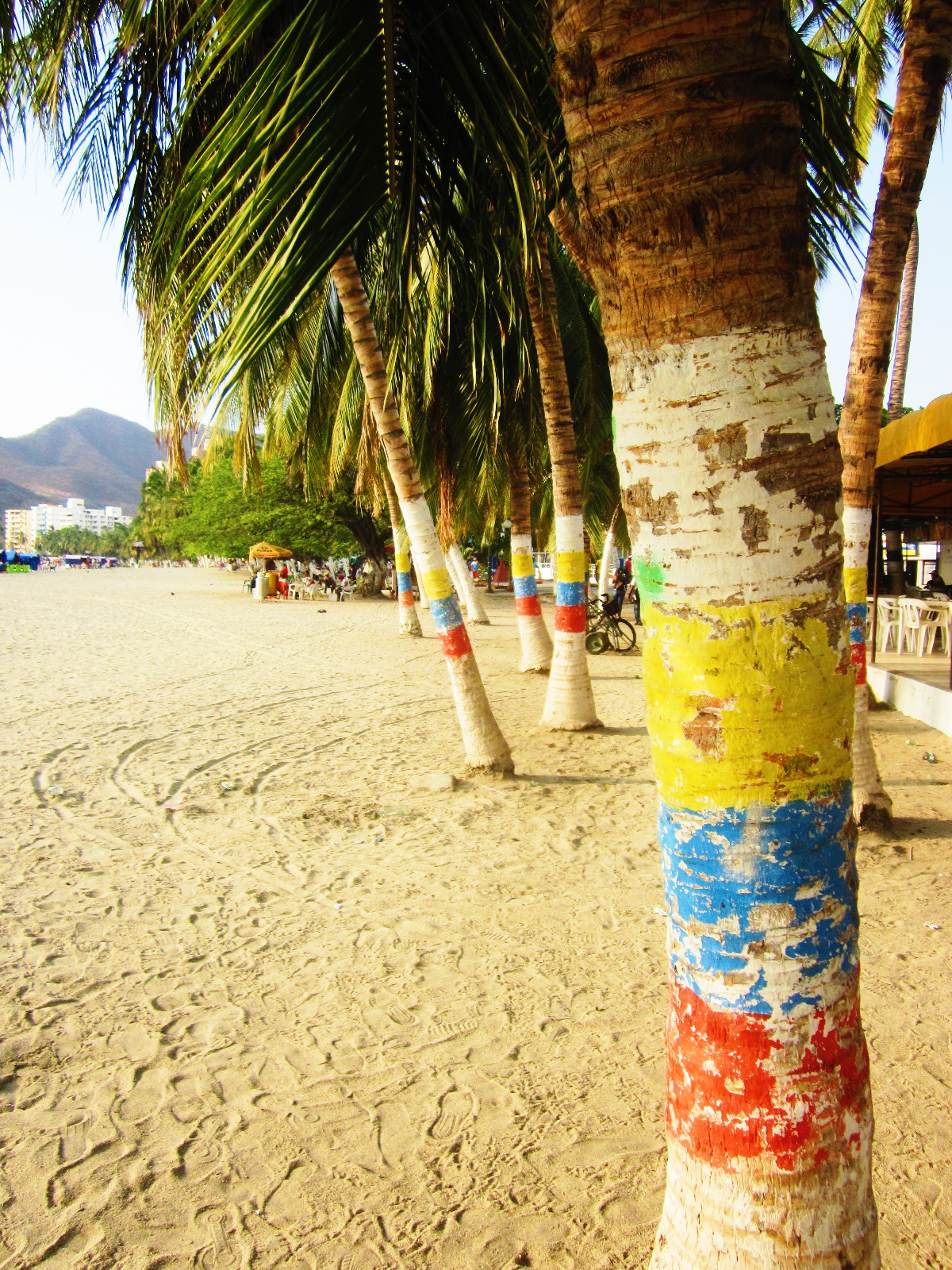 el rodadero santa marta la agencia travelers