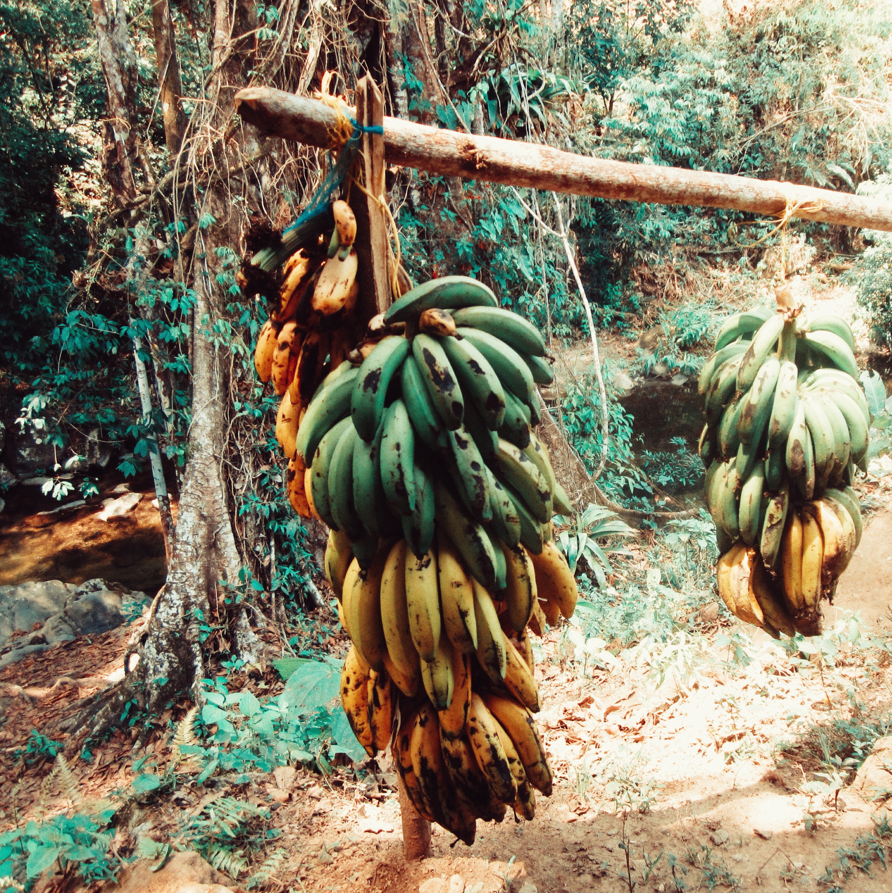 Pozo Azul Minca La Agencia Travelers