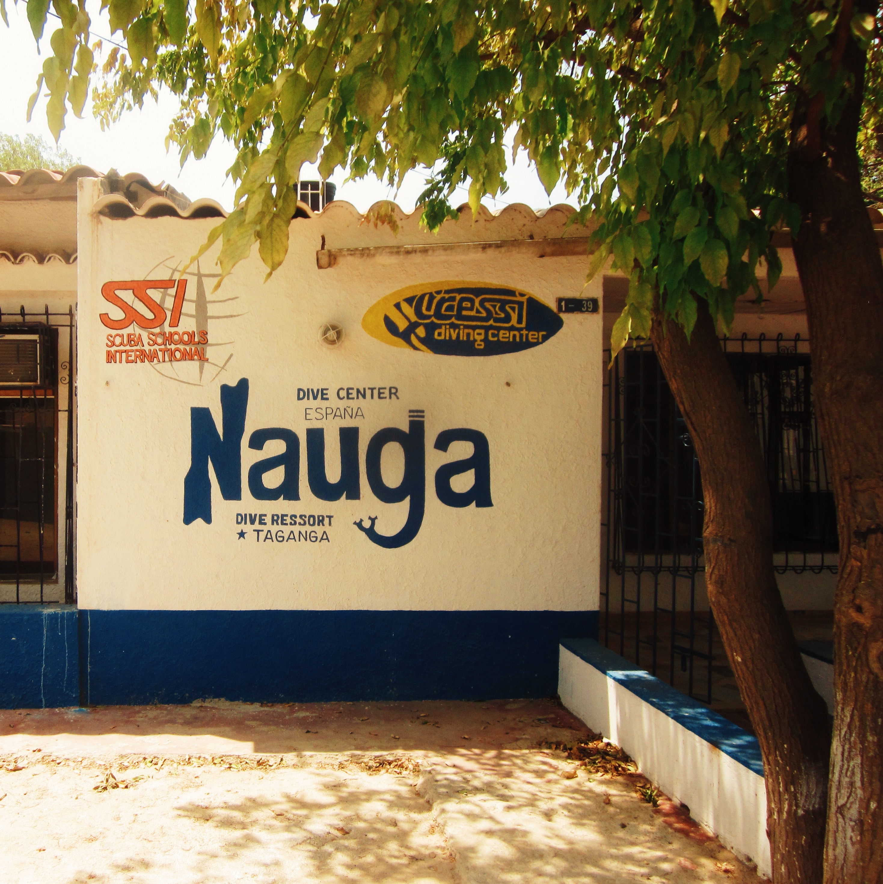 Diving taganga nauga la agencia travelers