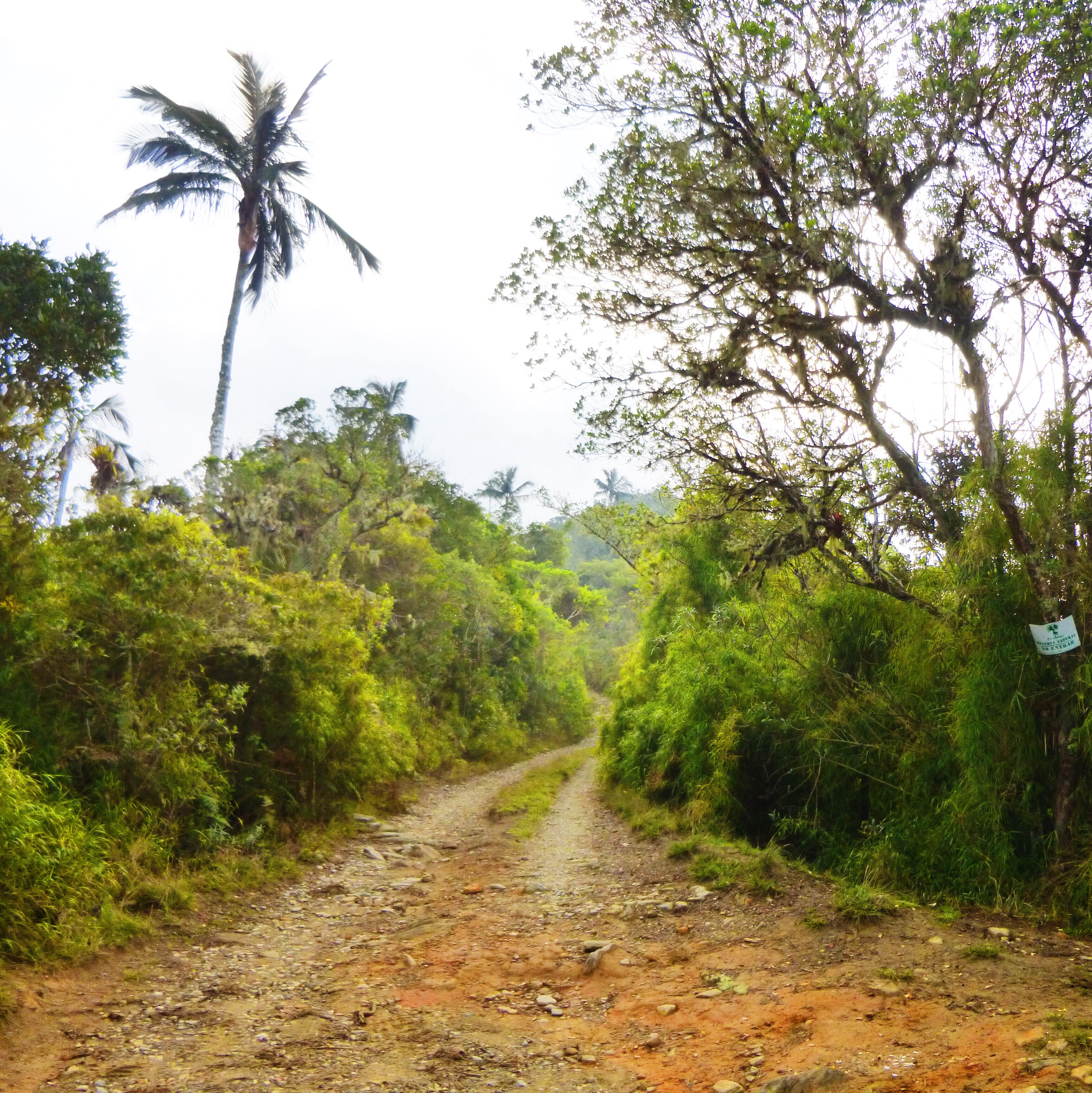 San lorenzo wi make cerro kennedy la agencia travelers