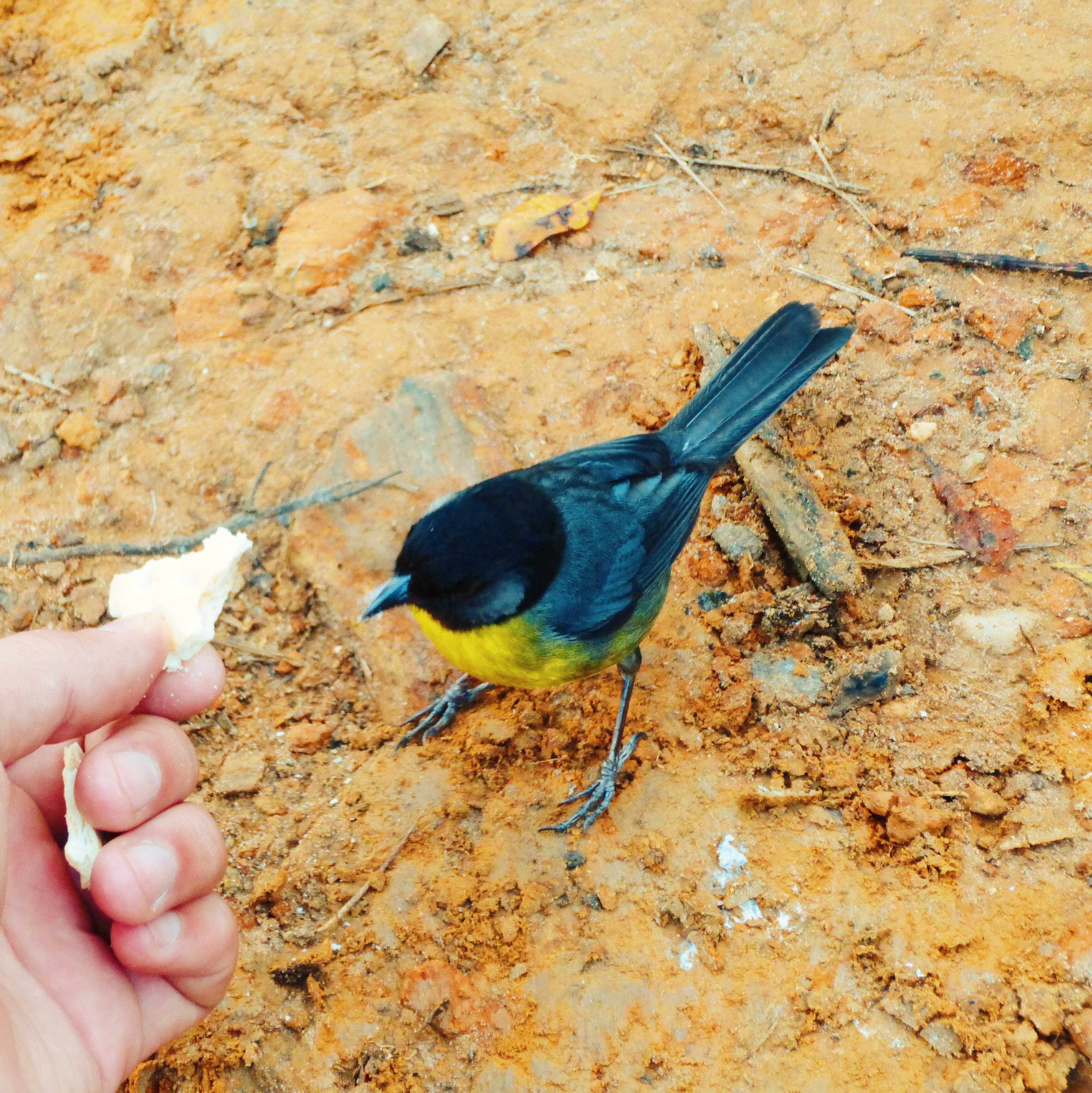 San lorenzo wi make cerro kennedy la agencia travelers