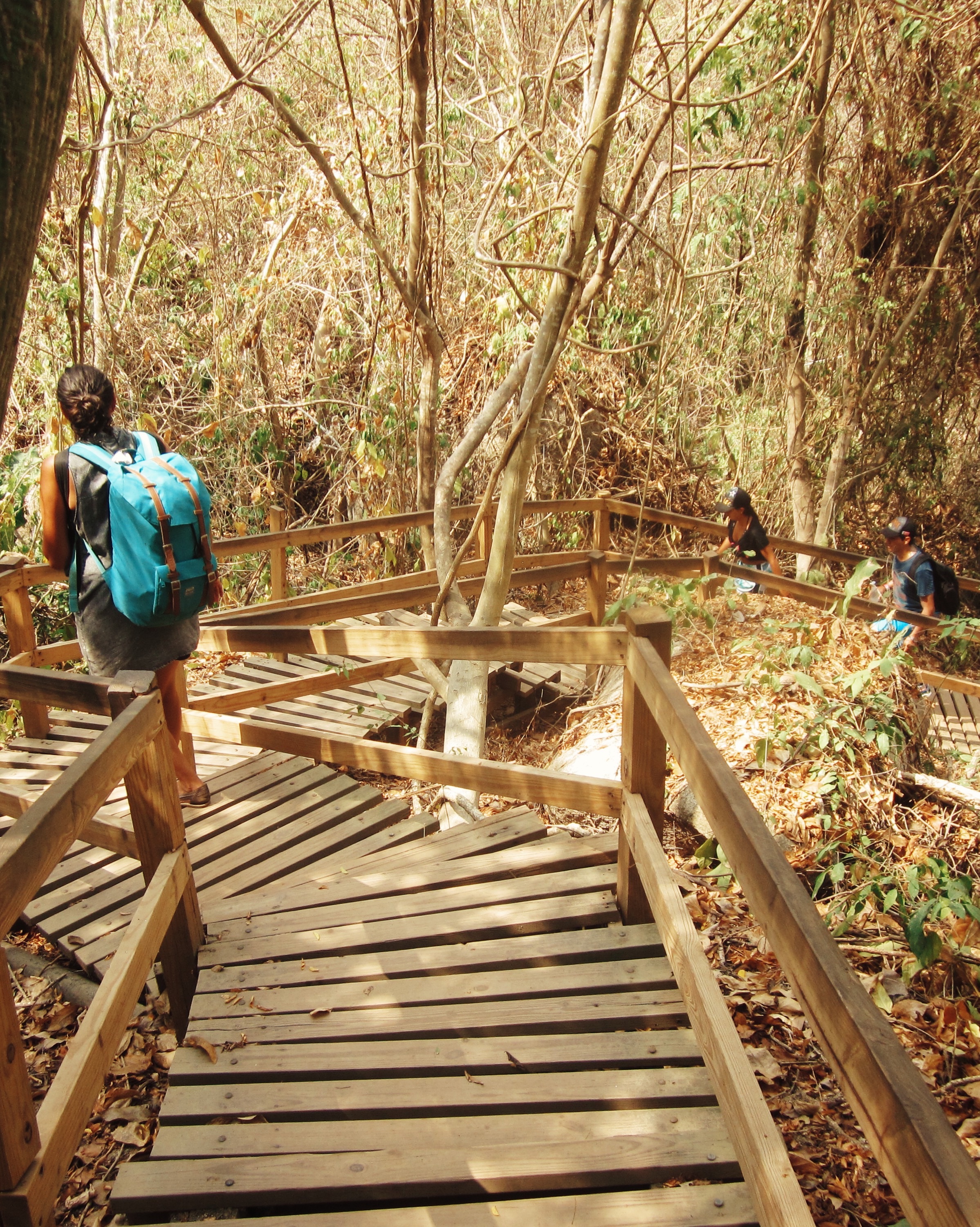 Tayrona La Agencia Travelers