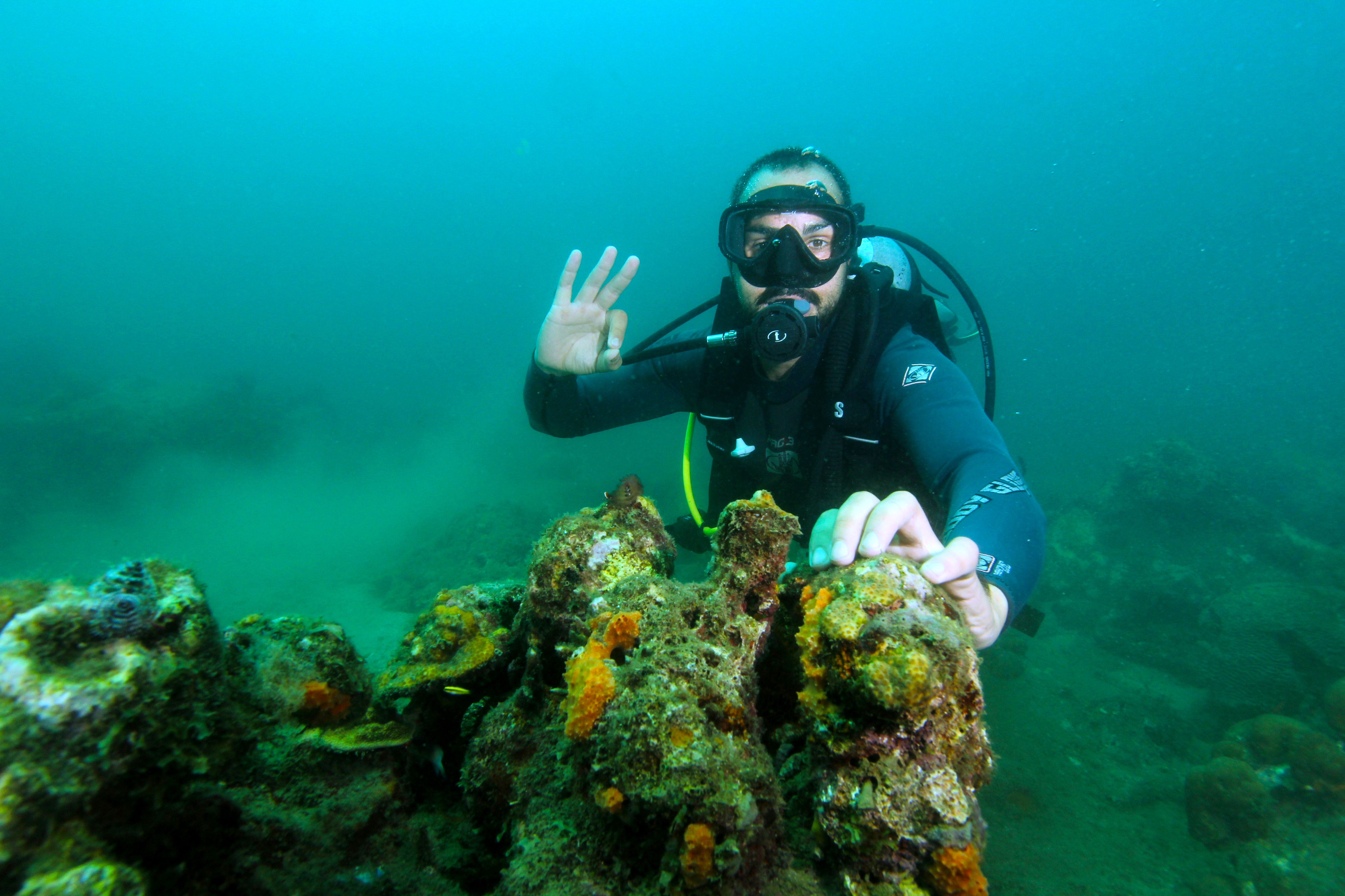 Excelente!! que mas se puede pedir!!