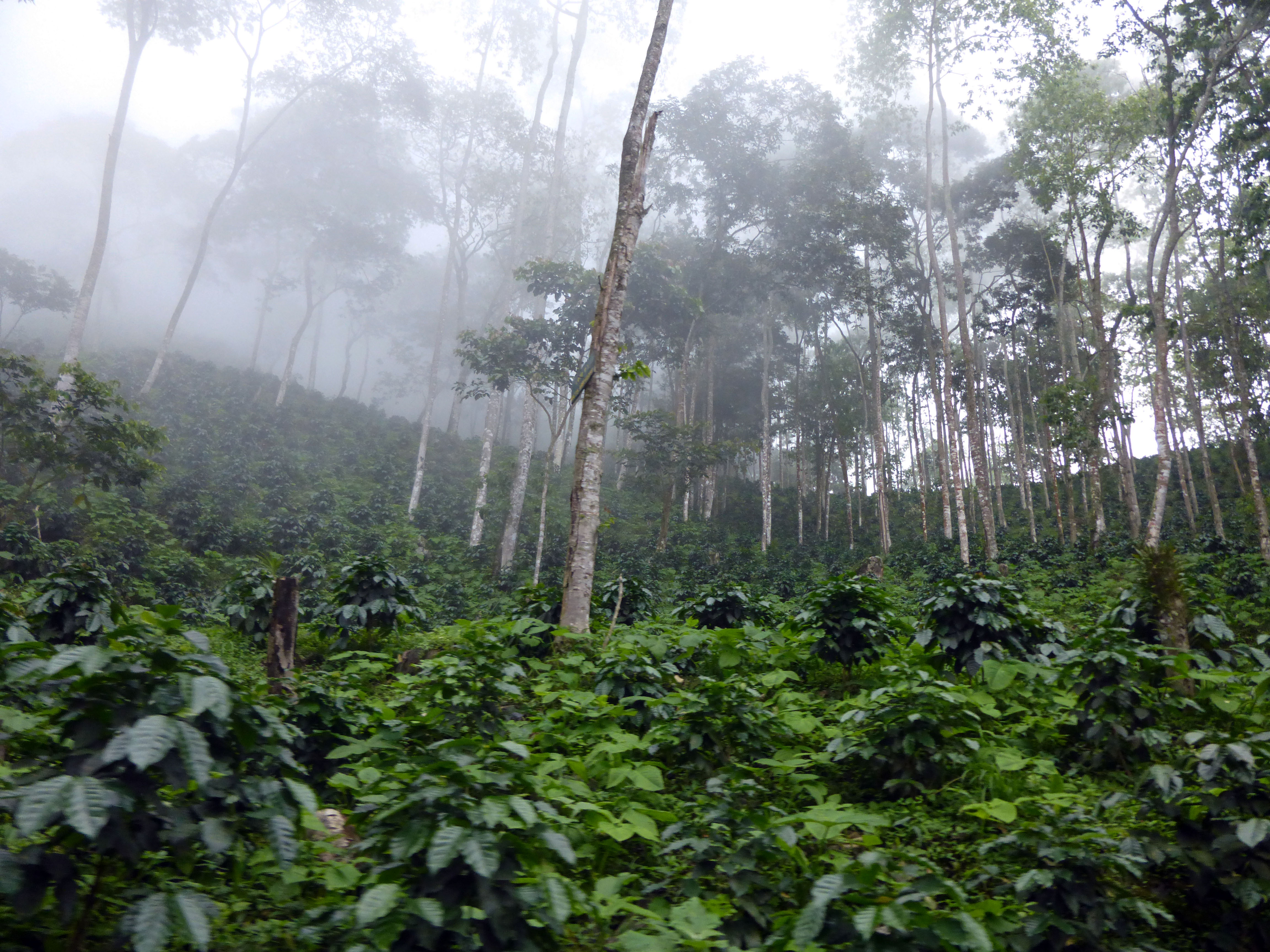 Así vamos subiendo!!