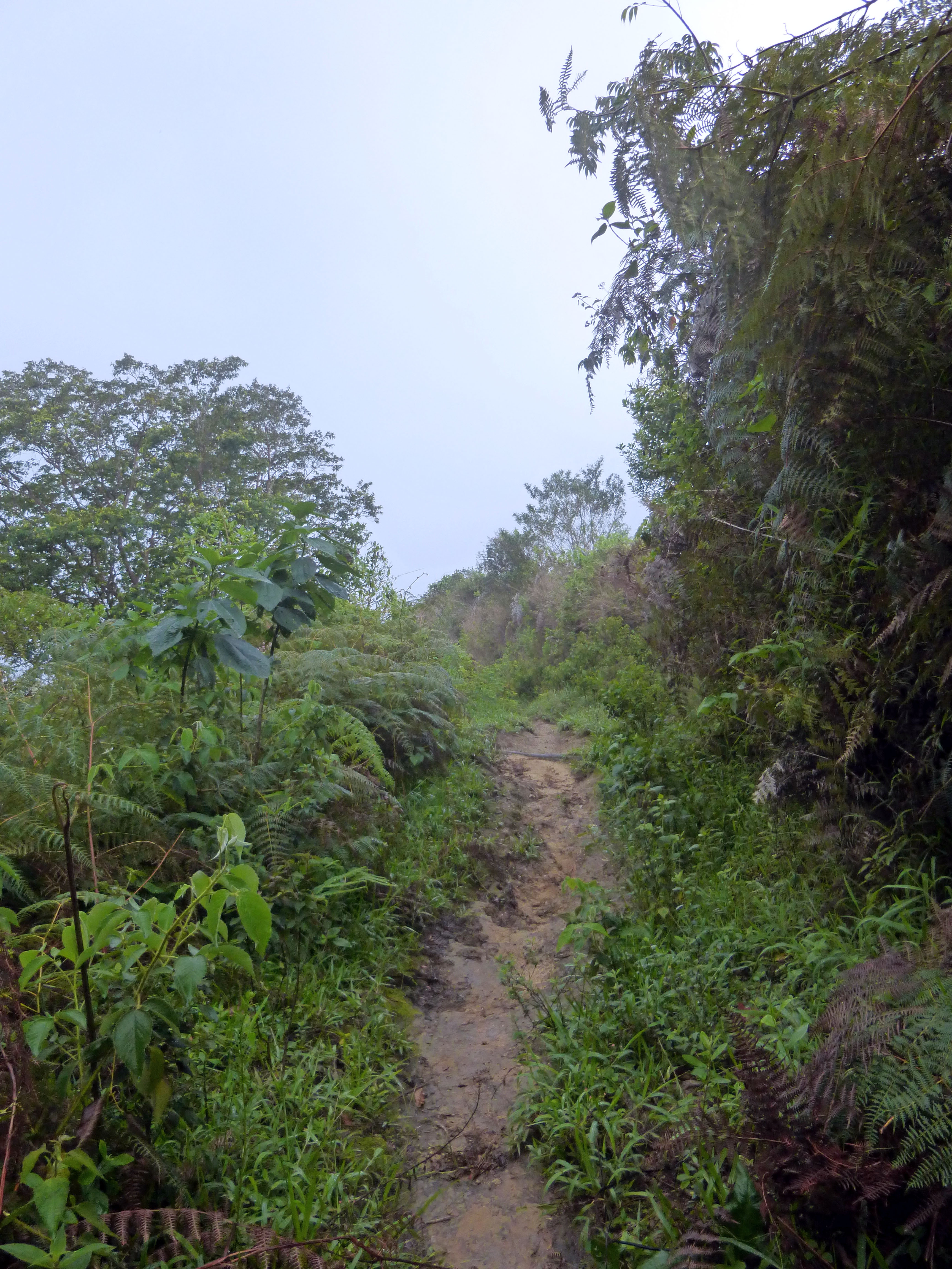 Ya ven porque la 4x4  es necesaria!!