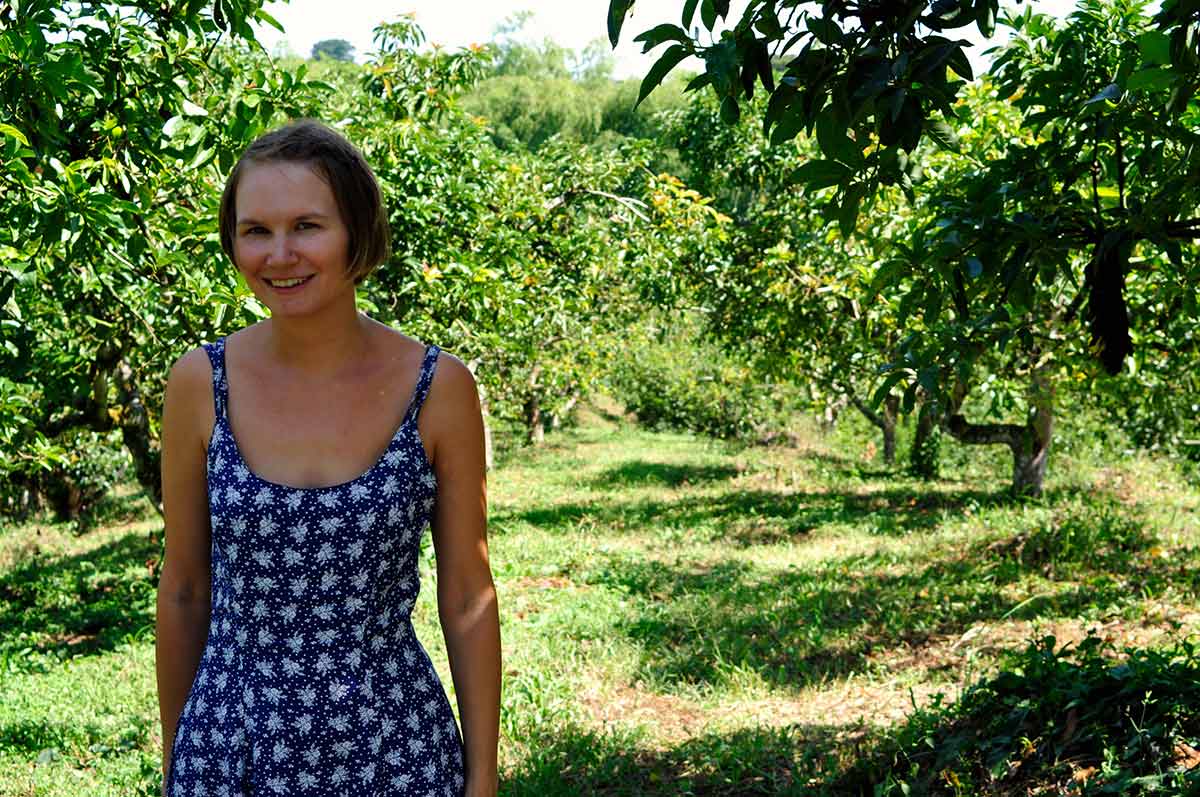 El-Descanso-del-Duque-avocado-plantage