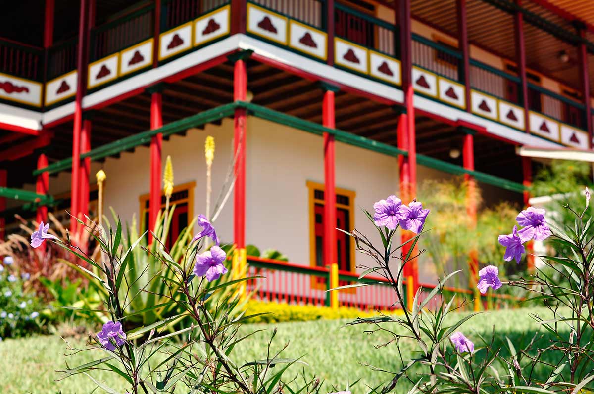 El-Descanso-del-Duque-blumen