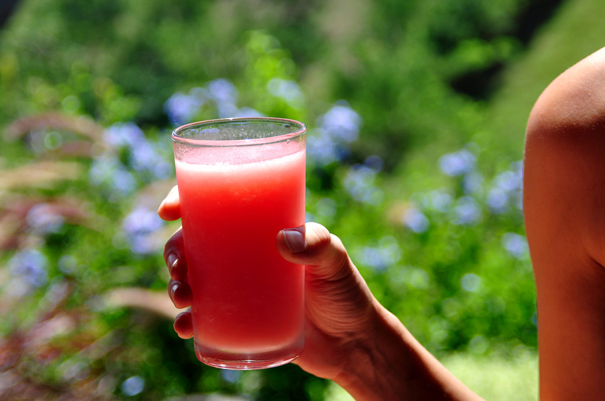 El Descanso del Duque juice