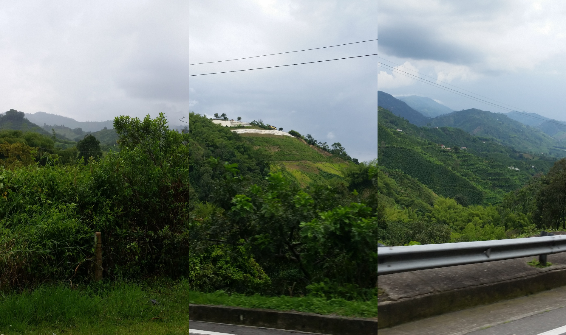 Manizales 1