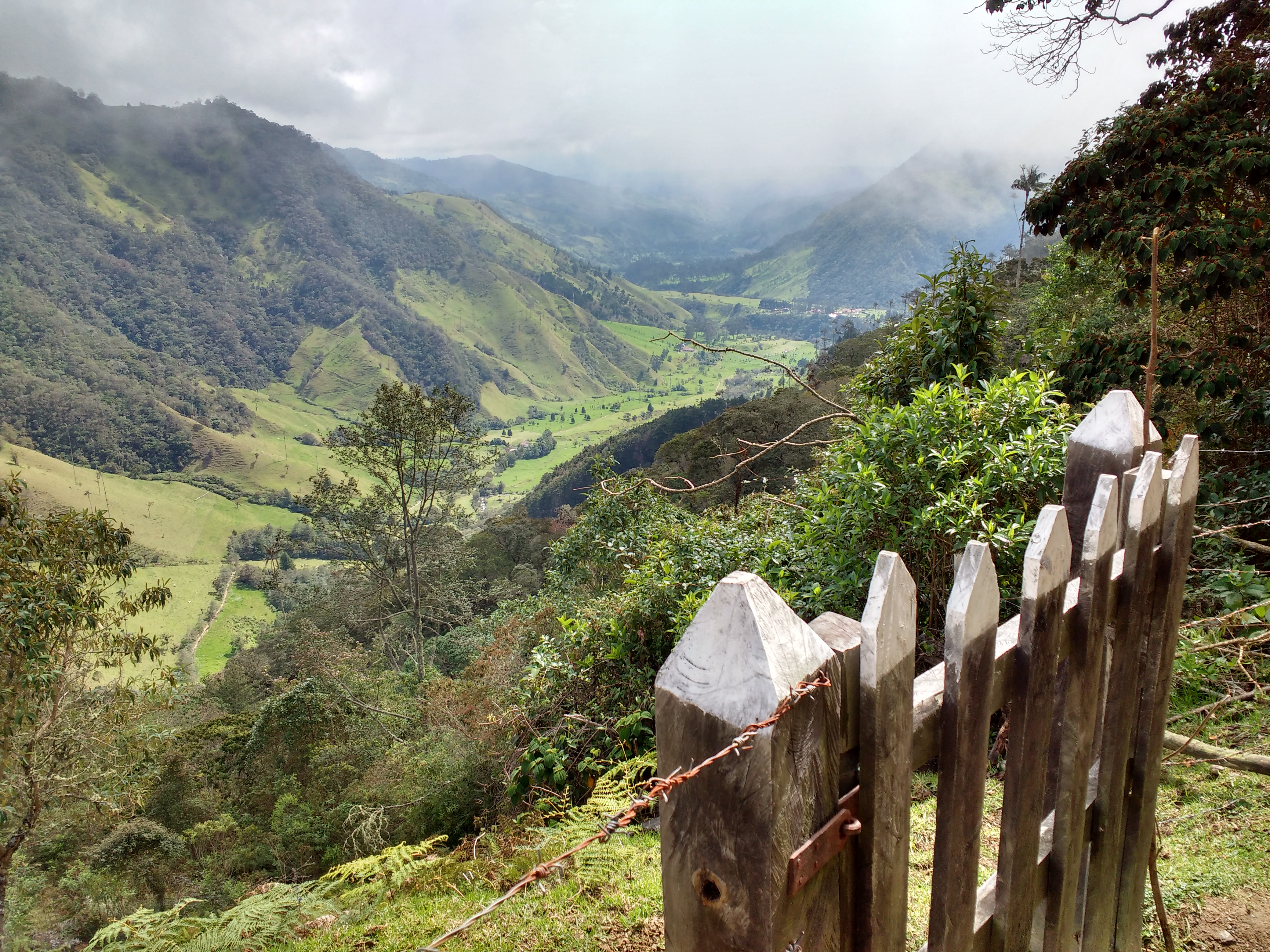 view reserva la montana